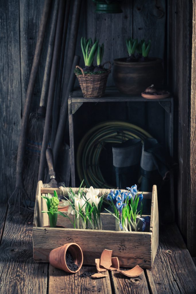 osłonka na doniczkę